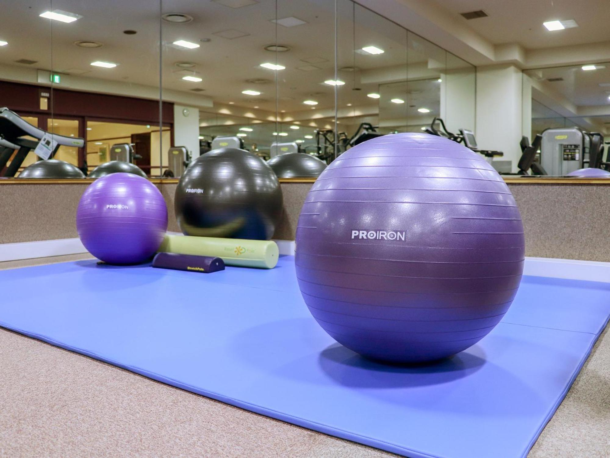 Premier Hotel -Tsubaki- Sapporo Eksteriør bilde Swiss exercise ball